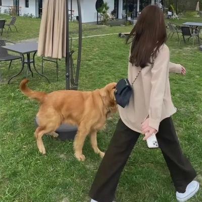 唐宫蜜史